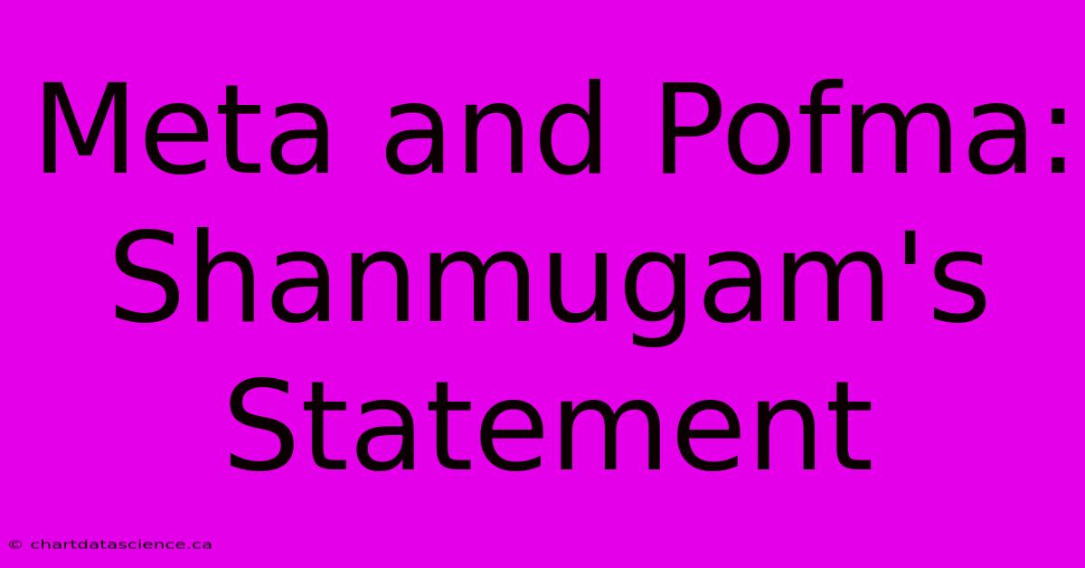 Meta And Pofma: Shanmugam's Statement