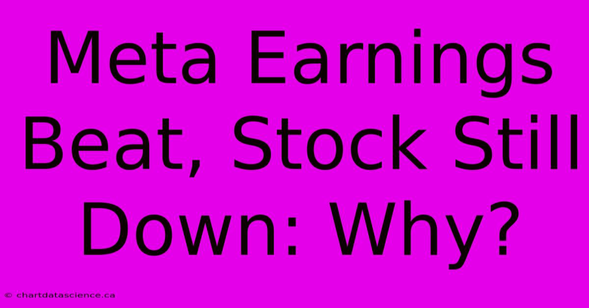 Meta Earnings Beat, Stock Still Down: Why?