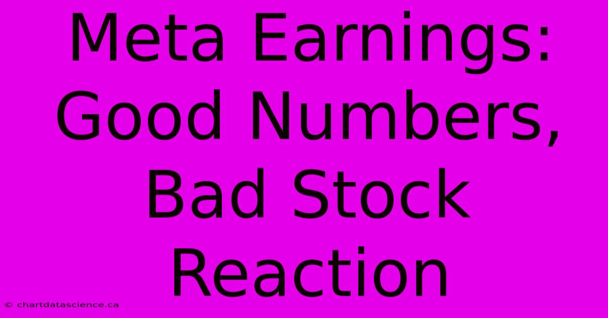 Meta Earnings: Good Numbers, Bad Stock Reaction 