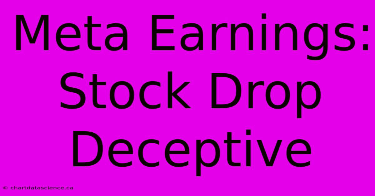 Meta Earnings: Stock Drop Deceptive