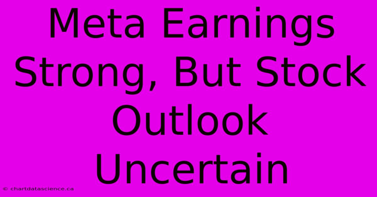 Meta Earnings Strong, But Stock Outlook Uncertain