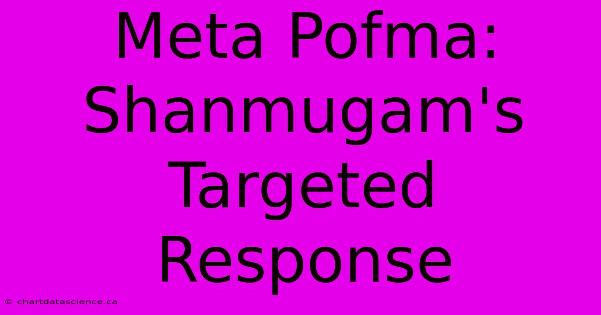 Meta Pofma: Shanmugam's Targeted Response 