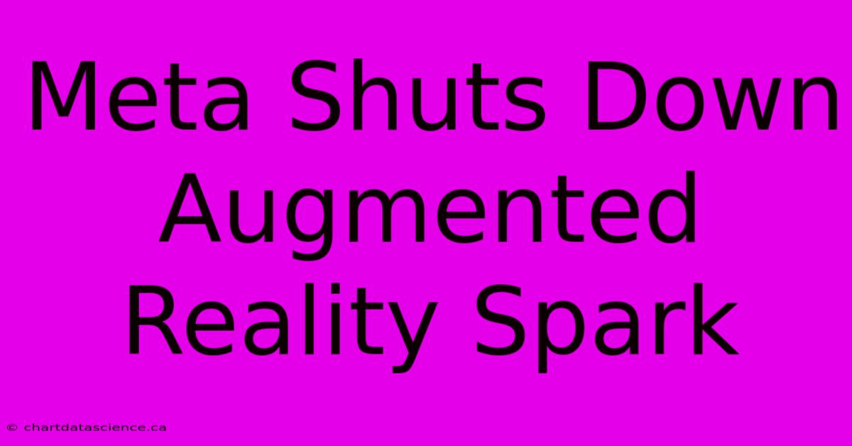 Meta Shuts Down Augmented Reality Spark