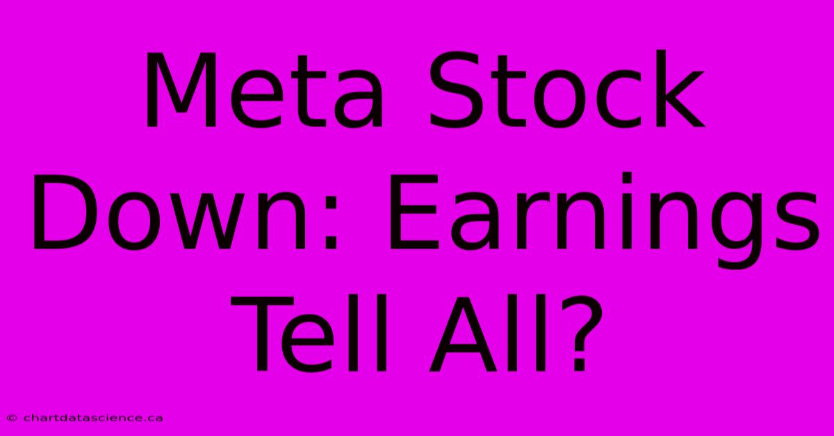 Meta Stock Down: Earnings Tell All?