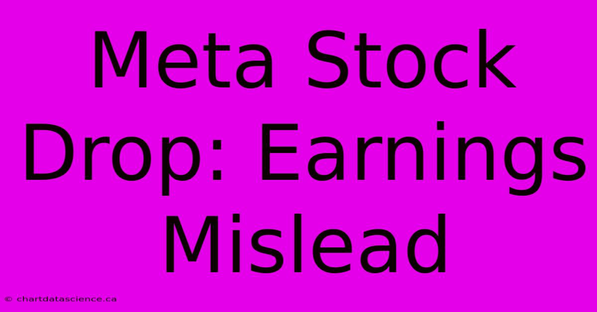 Meta Stock Drop: Earnings Mislead