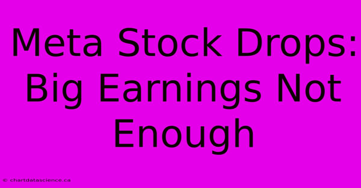 Meta Stock Drops: Big Earnings Not Enough