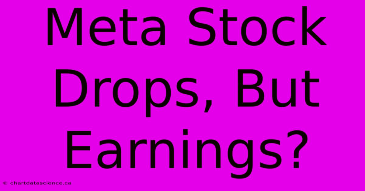 Meta Stock Drops, But Earnings?