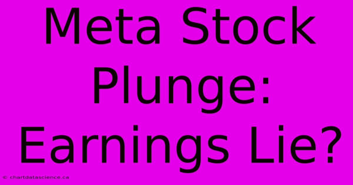 Meta Stock Plunge: Earnings Lie? 