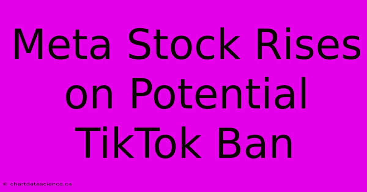 Meta Stock Rises On Potential TikTok Ban