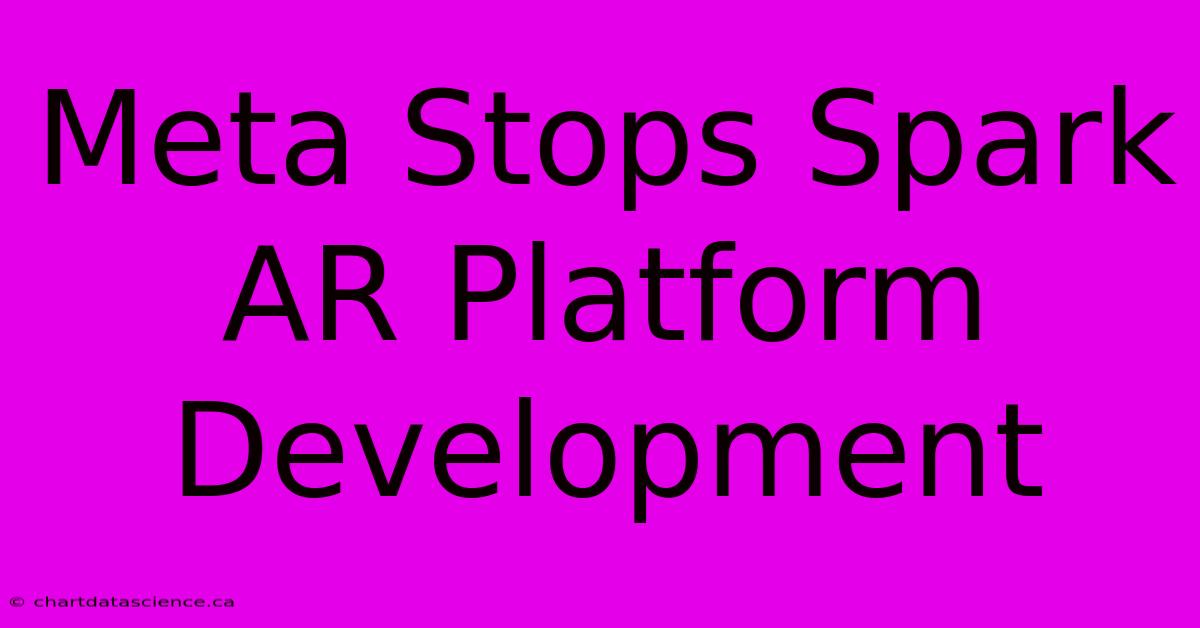 Meta Stops Spark AR Platform Development