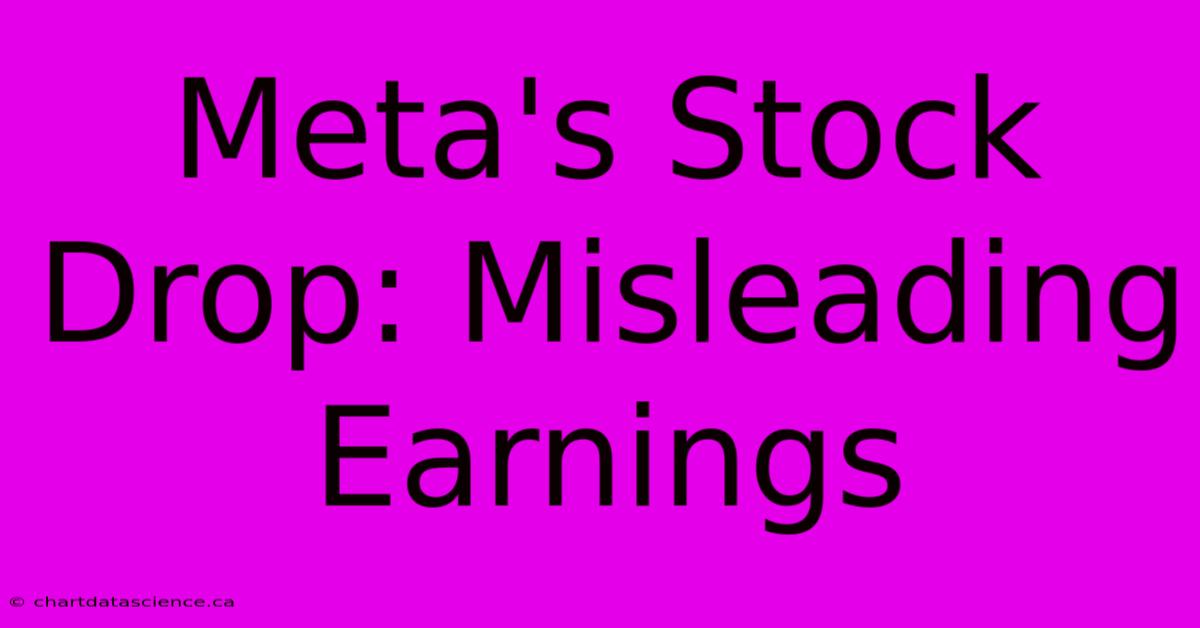 Meta's Stock Drop: Misleading Earnings 