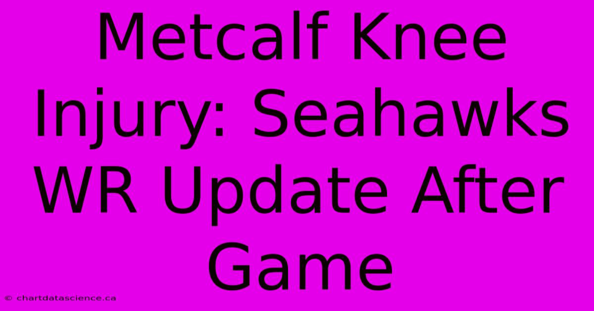 Metcalf Knee Injury: Seahawks WR Update After Game 