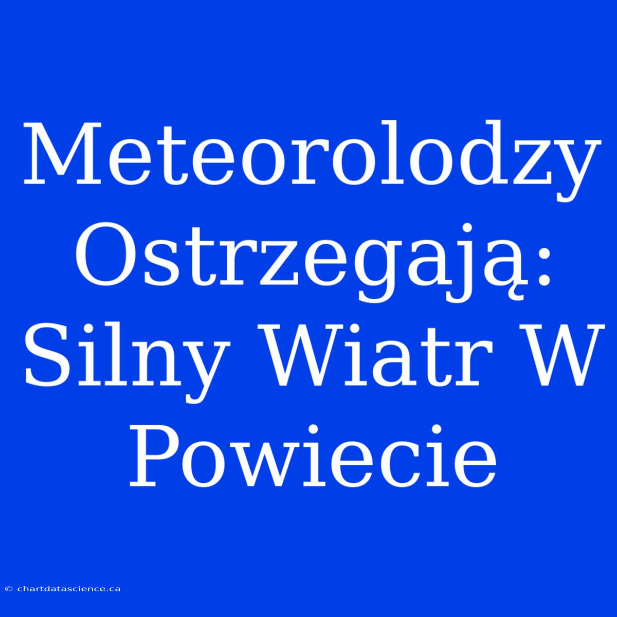 Meteorolodzy Ostrzegają: Silny Wiatr W Powiecie