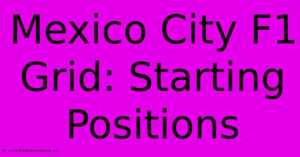 Mexico City F1 Grid: Starting Positions