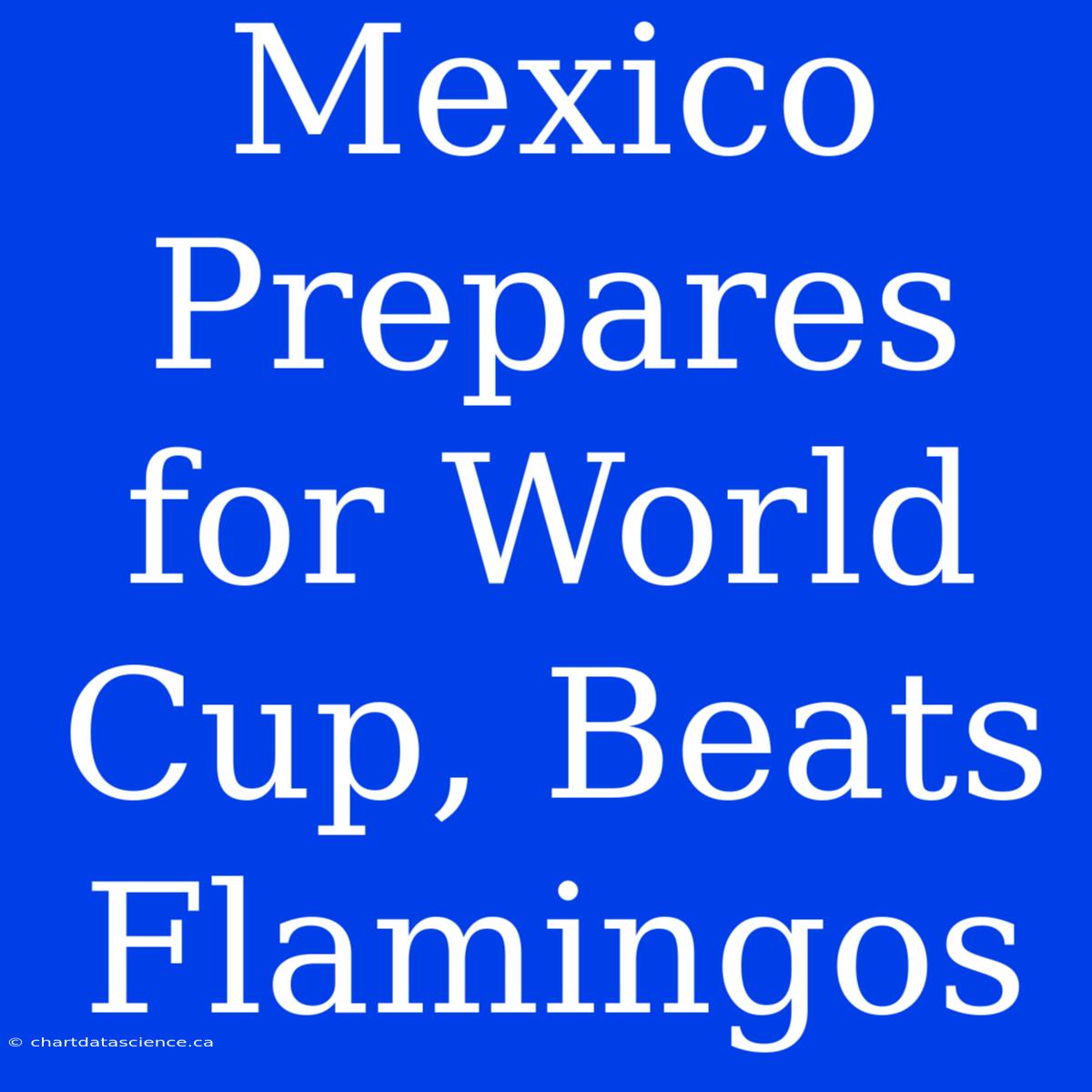 Mexico Prepares For World Cup, Beats Flamingos