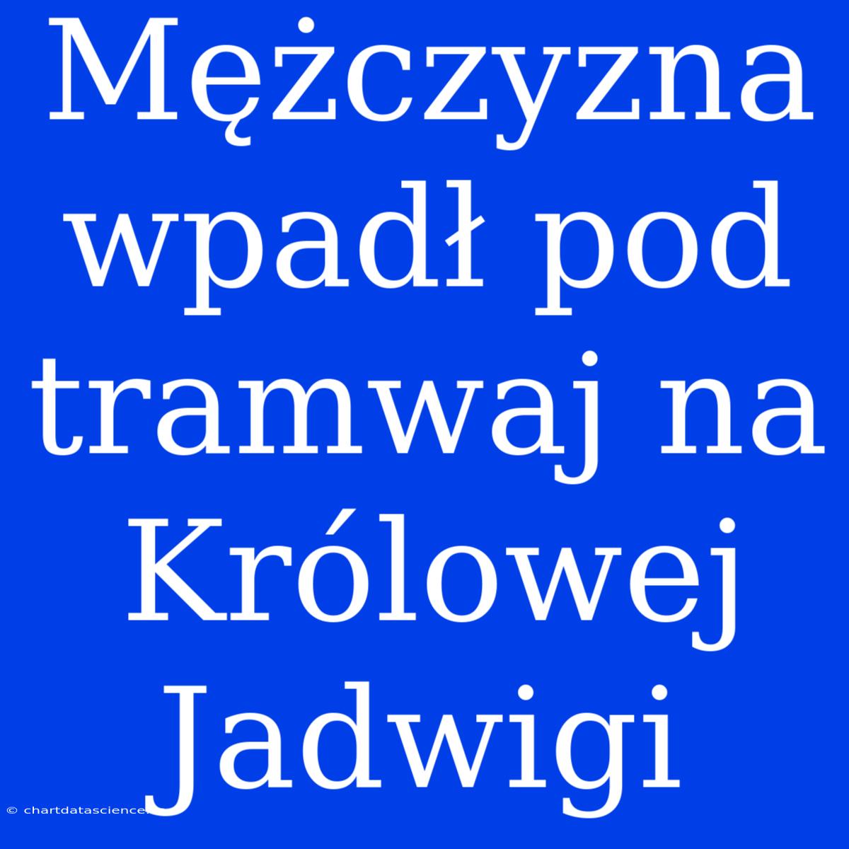 Mężczyzna Wpadł Pod Tramwaj Na Królowej Jadwigi