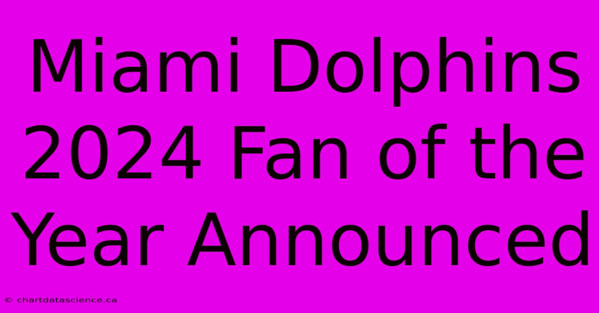 Miami Dolphins 2024 Fan Of The Year Announced 