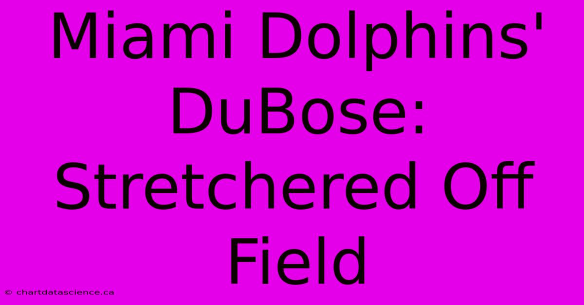 Miami Dolphins' DuBose: Stretchered Off Field