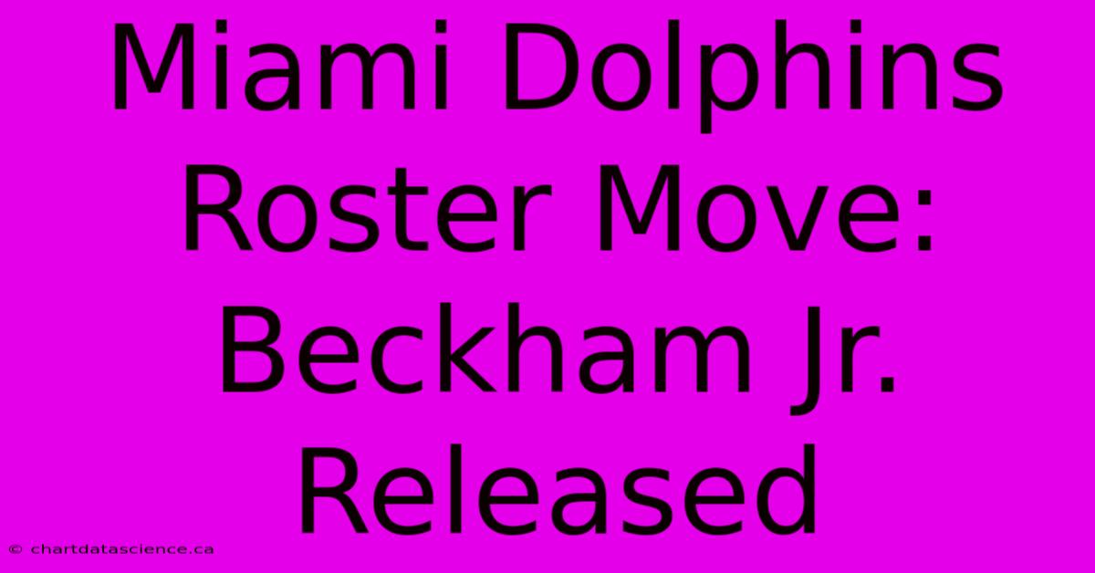 Miami Dolphins Roster Move: Beckham Jr. Released