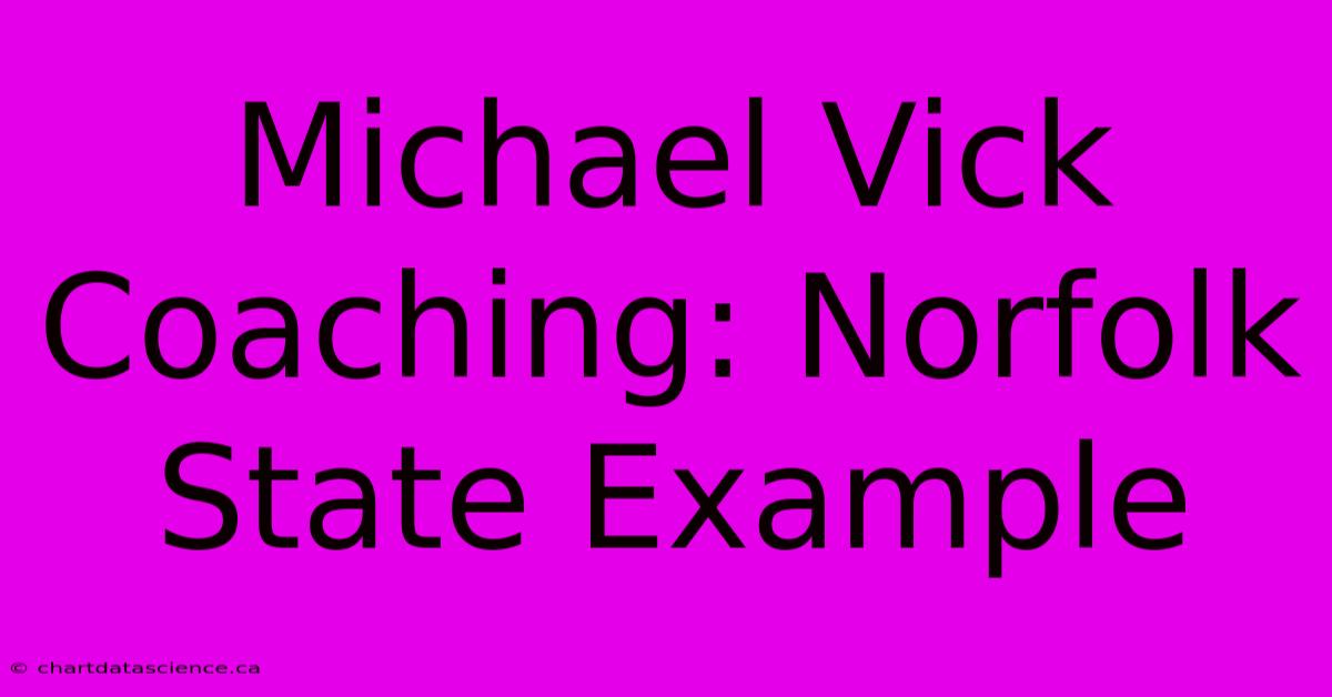 Michael Vick Coaching: Norfolk State Example