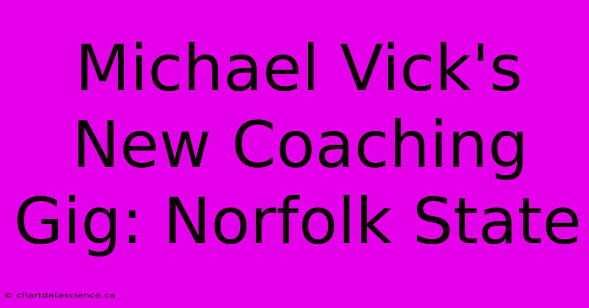 Michael Vick's New Coaching Gig: Norfolk State