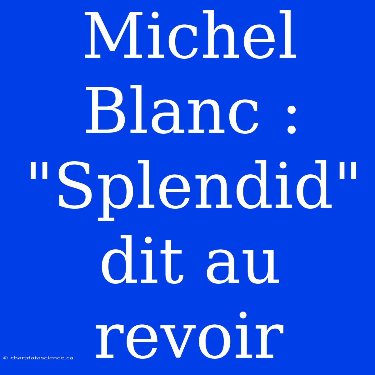 Michel Blanc : 