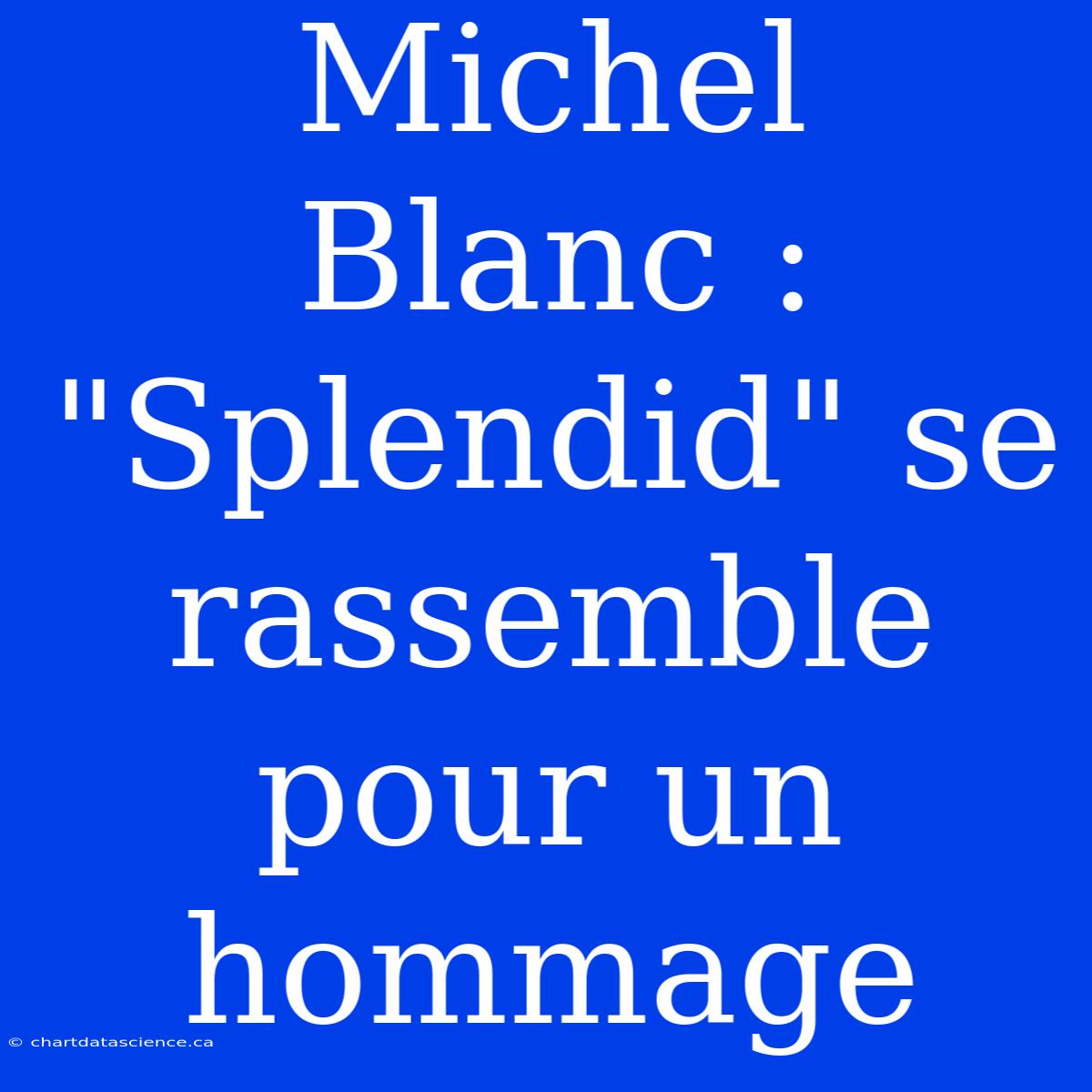 Michel Blanc : 