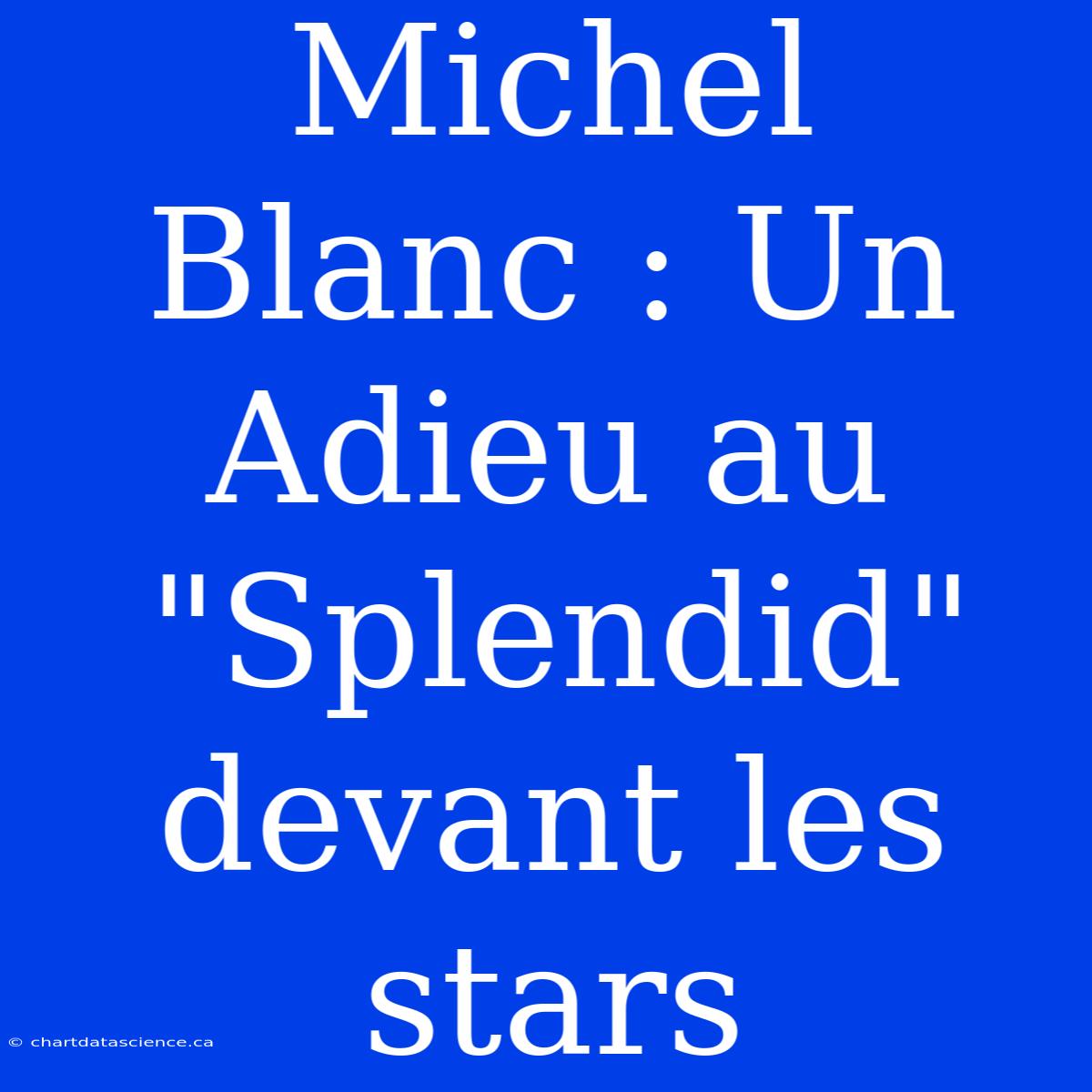 Michel Blanc : Un Adieu Au 