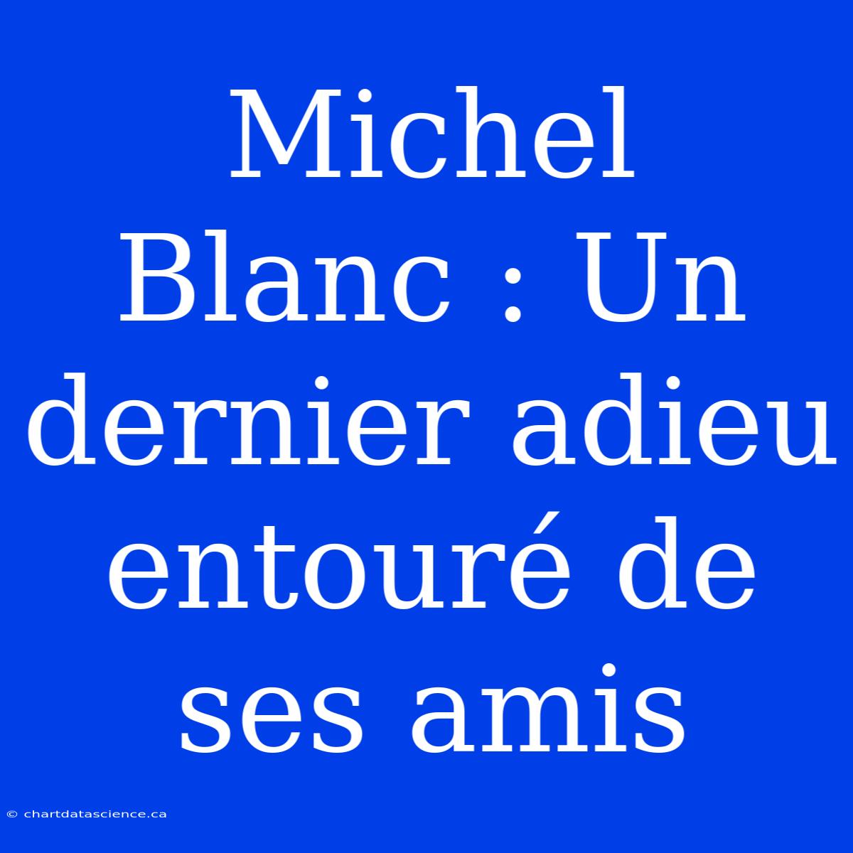 Michel Blanc : Un Dernier Adieu Entouré De Ses Amis