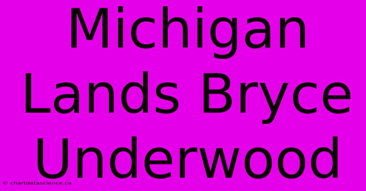 Michigan Lands Bryce Underwood