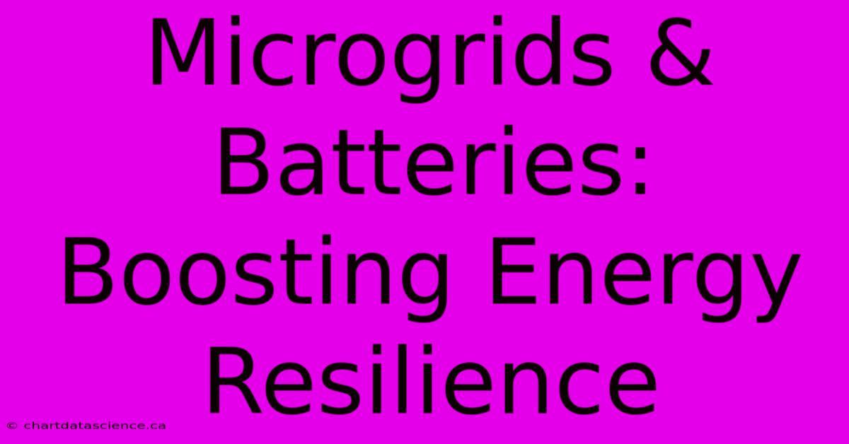 Microgrids & Batteries: Boosting Energy Resilience