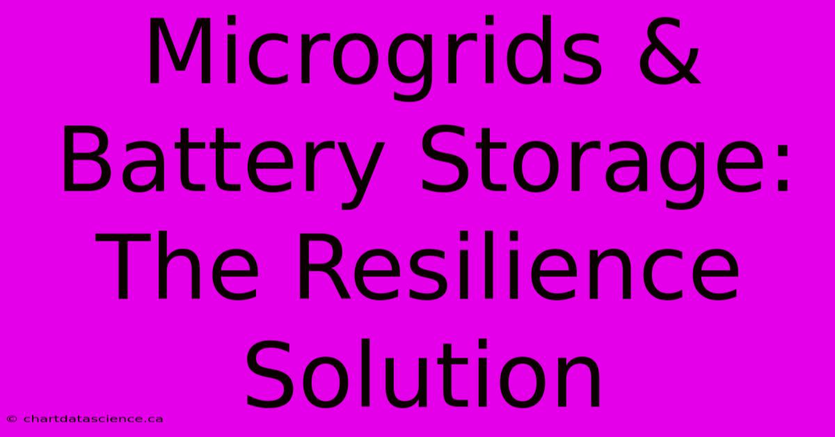 Microgrids & Battery Storage: The Resilience Solution