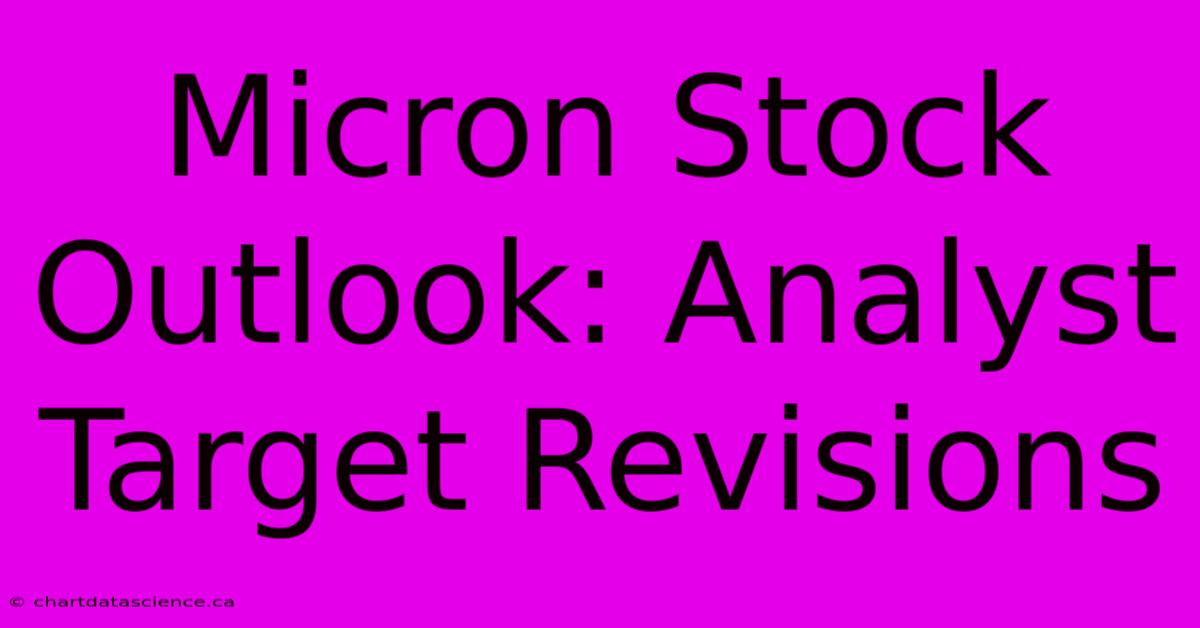 Micron Stock Outlook: Analyst Target Revisions