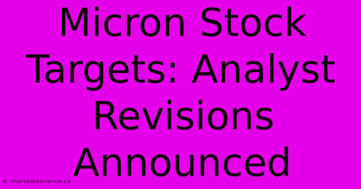 Micron Stock Targets: Analyst Revisions Announced