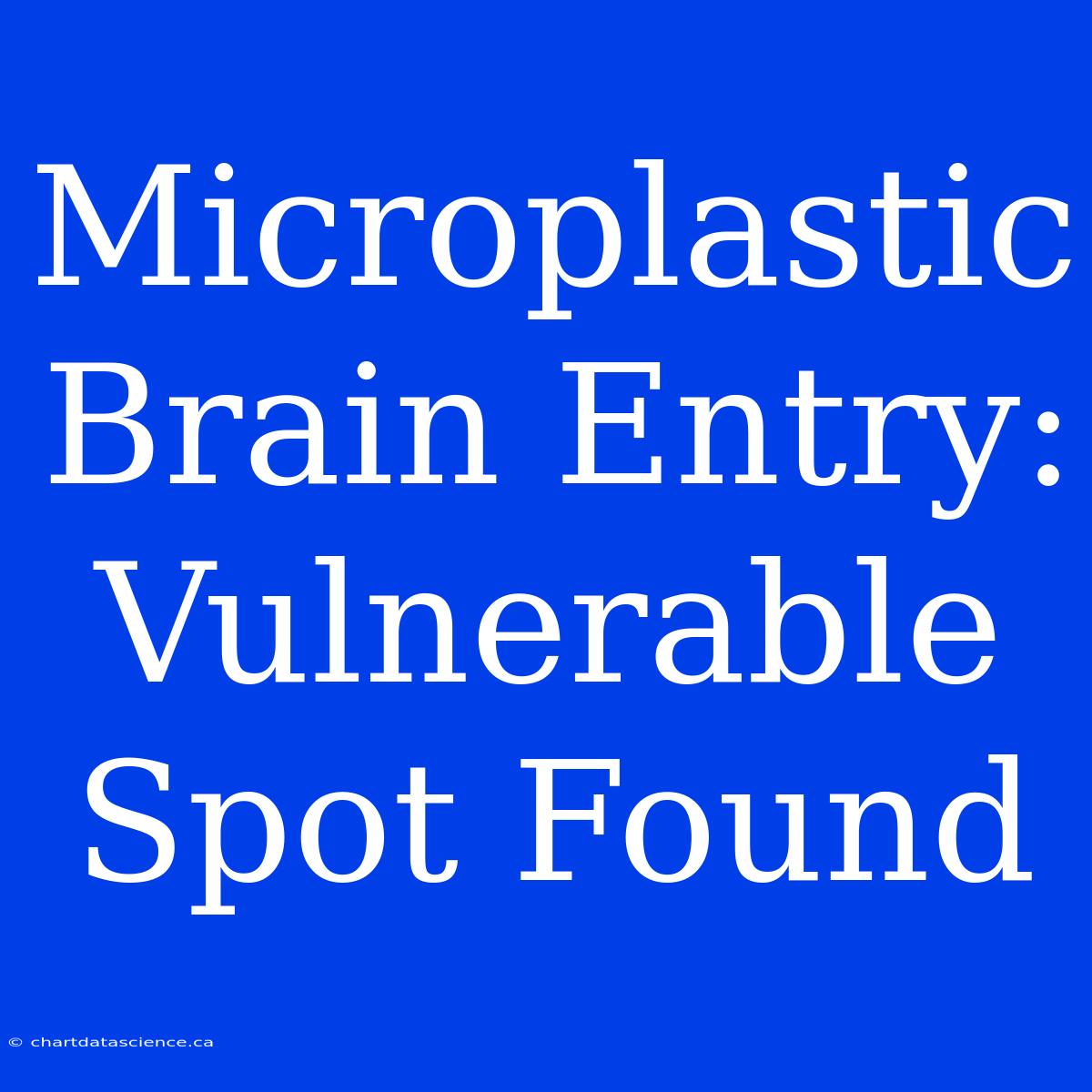 Microplastic Brain Entry: Vulnerable Spot Found