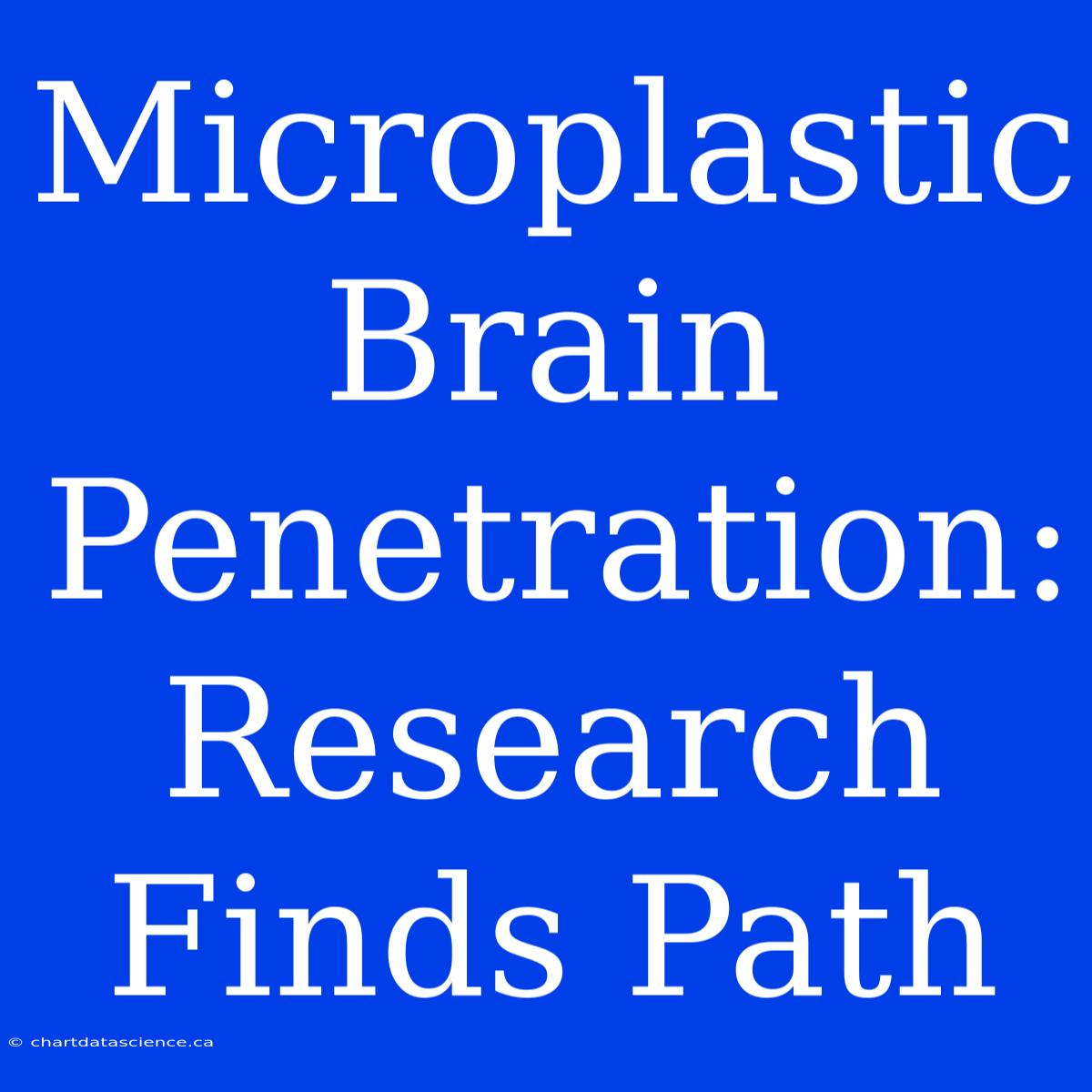 Microplastic Brain Penetration: Research Finds Path