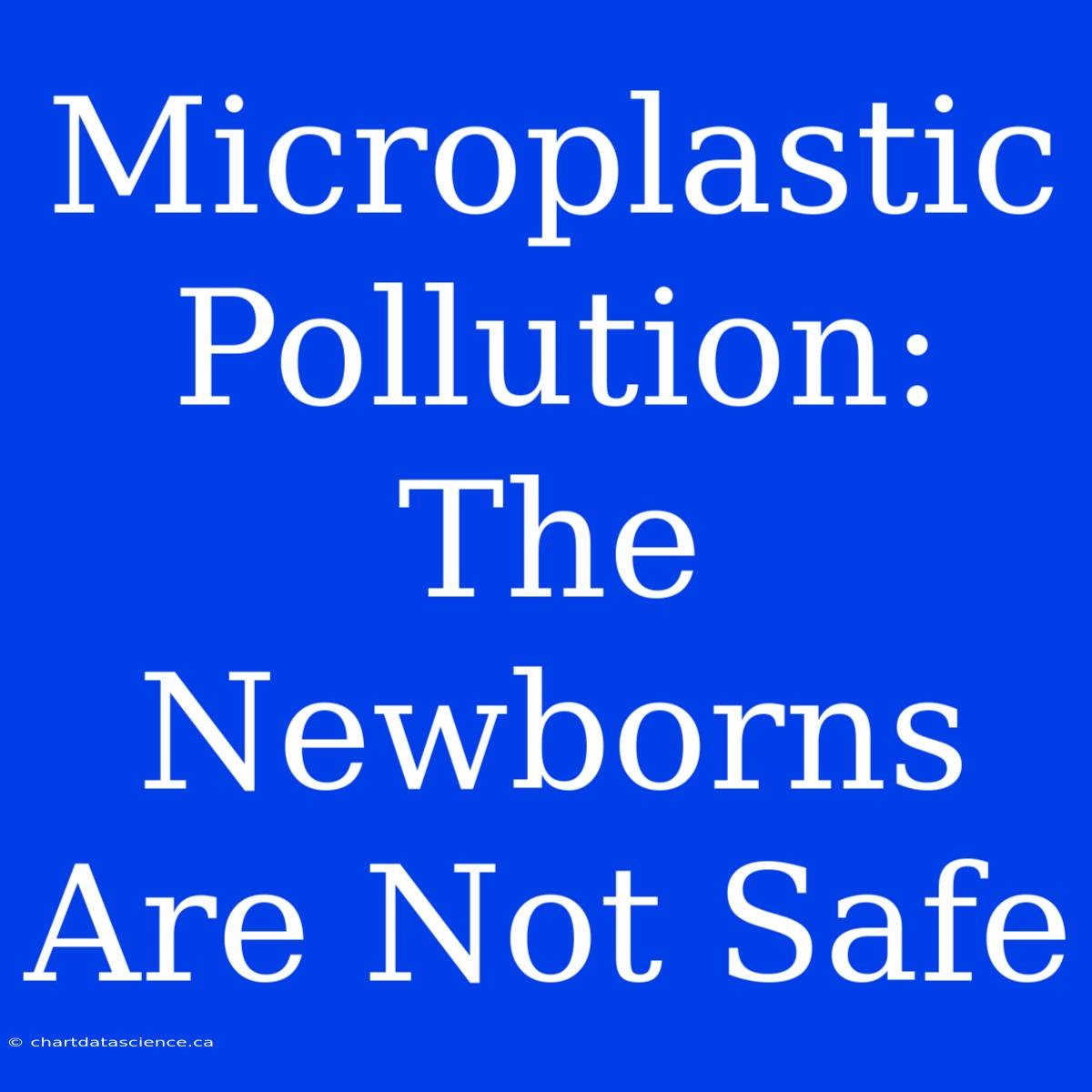 Microplastic Pollution:  The Newborns Are Not Safe