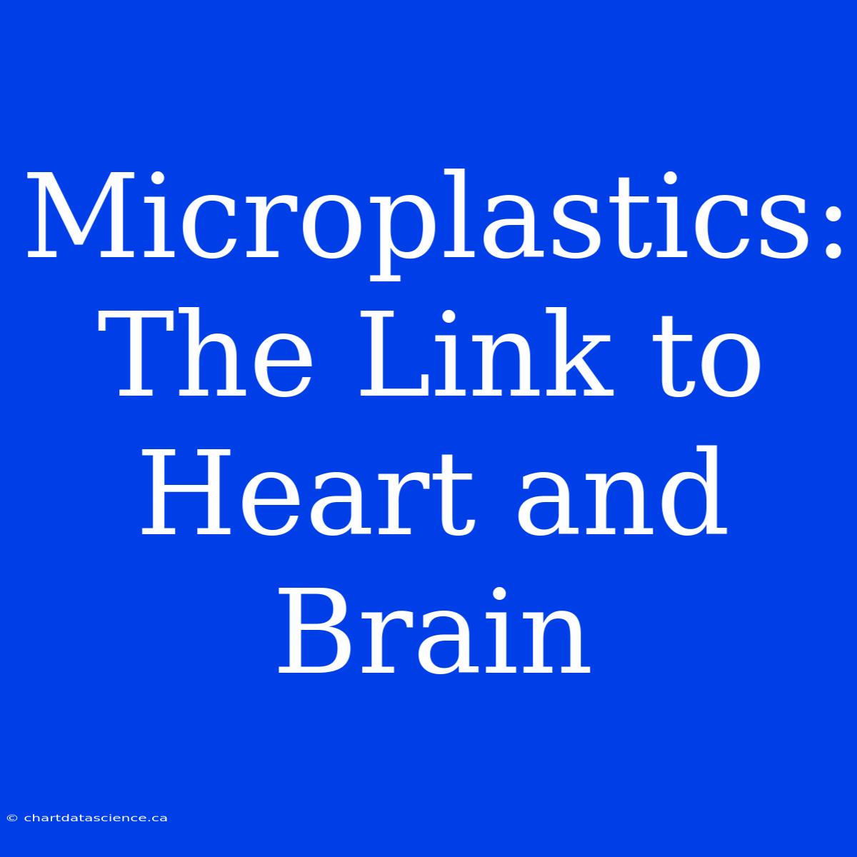 Microplastics: The Link To Heart And Brain