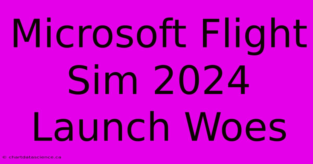 Microsoft Flight Sim 2024 Launch Woes