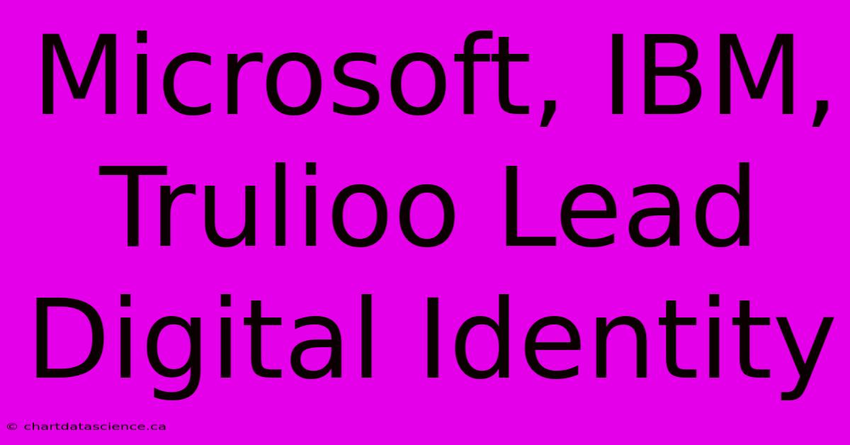 Microsoft, IBM, Trulioo Lead Digital Identity