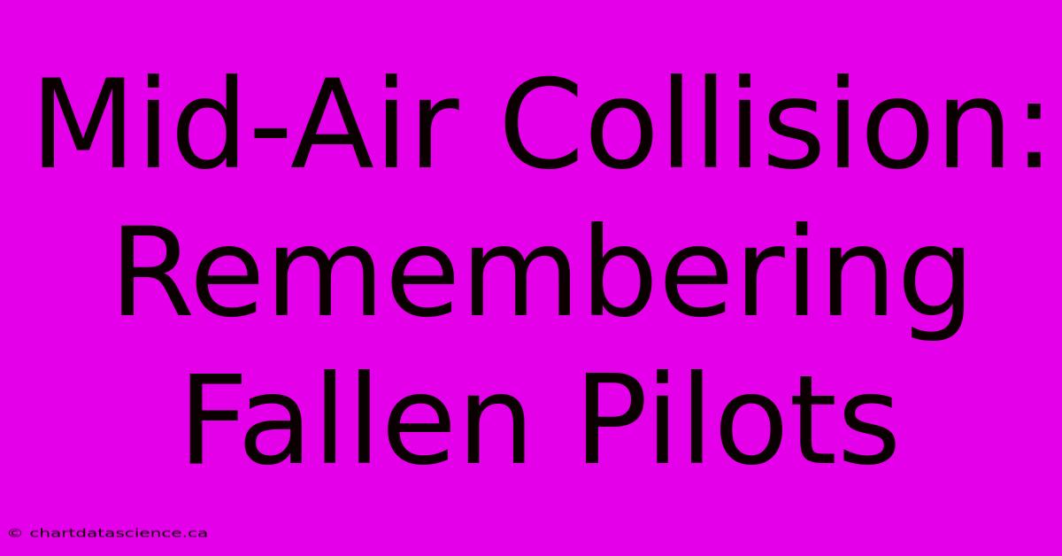 Mid-Air Collision: Remembering Fallen Pilots