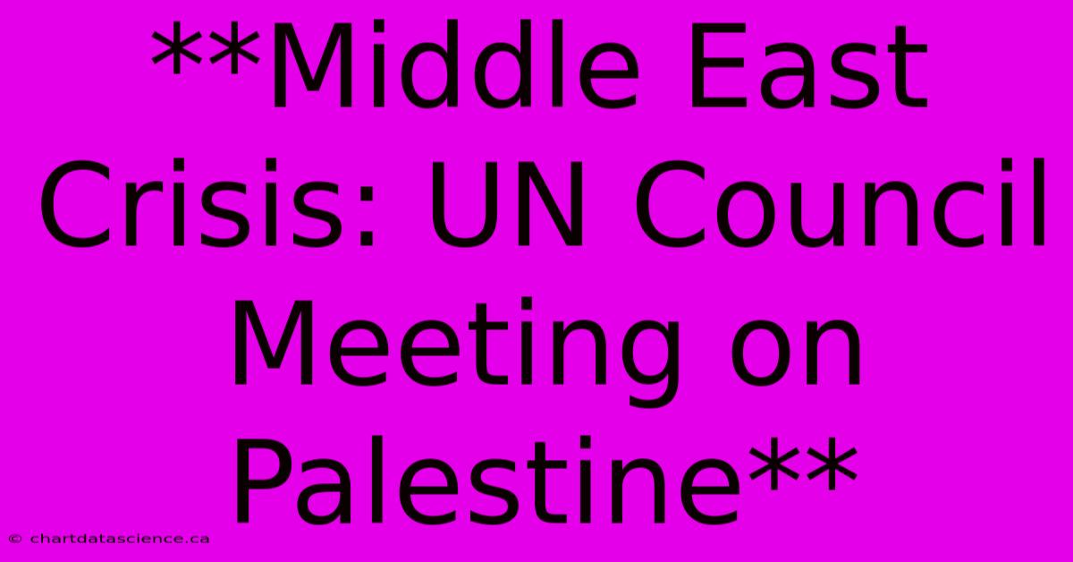 **Middle East Crisis: UN Council Meeting On Palestine** 