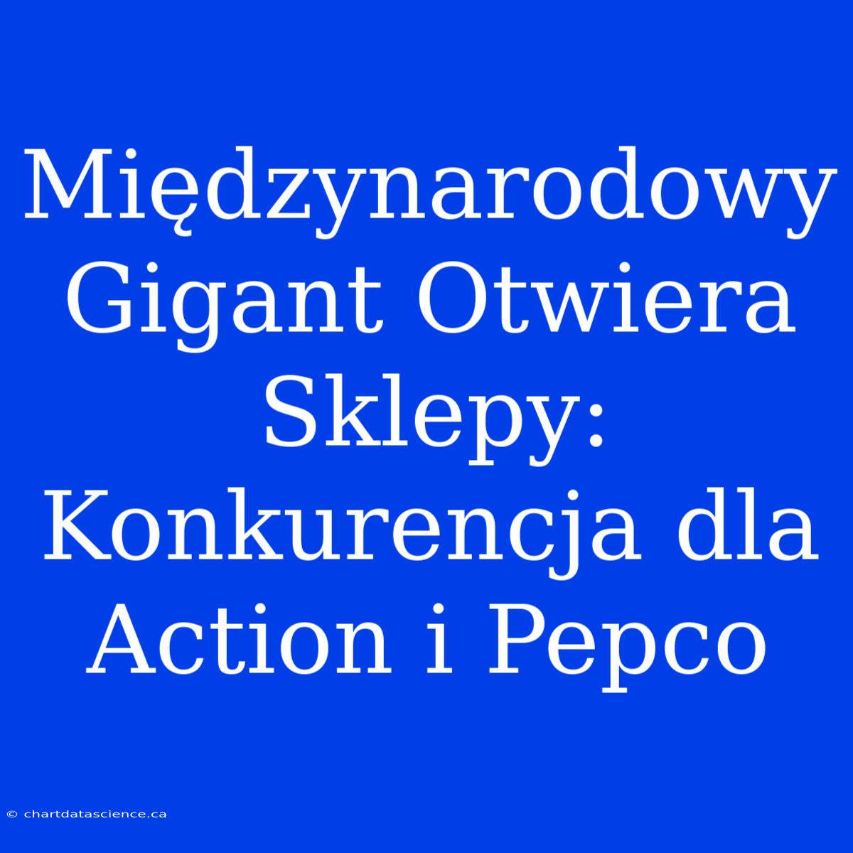 Międzynarodowy Gigant Otwiera Sklepy: Konkurencja Dla Action I Pepco