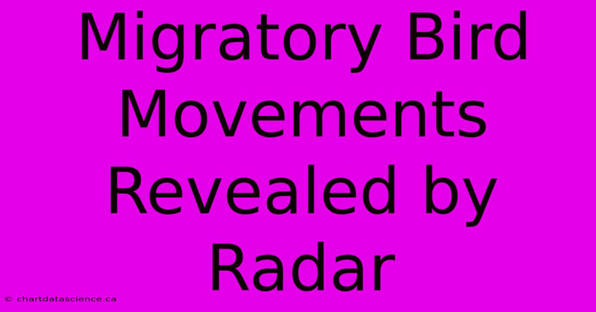 Migratory Bird Movements Revealed By Radar