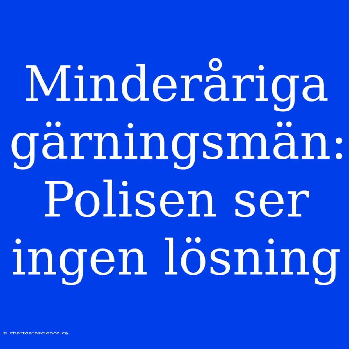 Minderåriga Gärningsmän: Polisen Ser Ingen Lösning