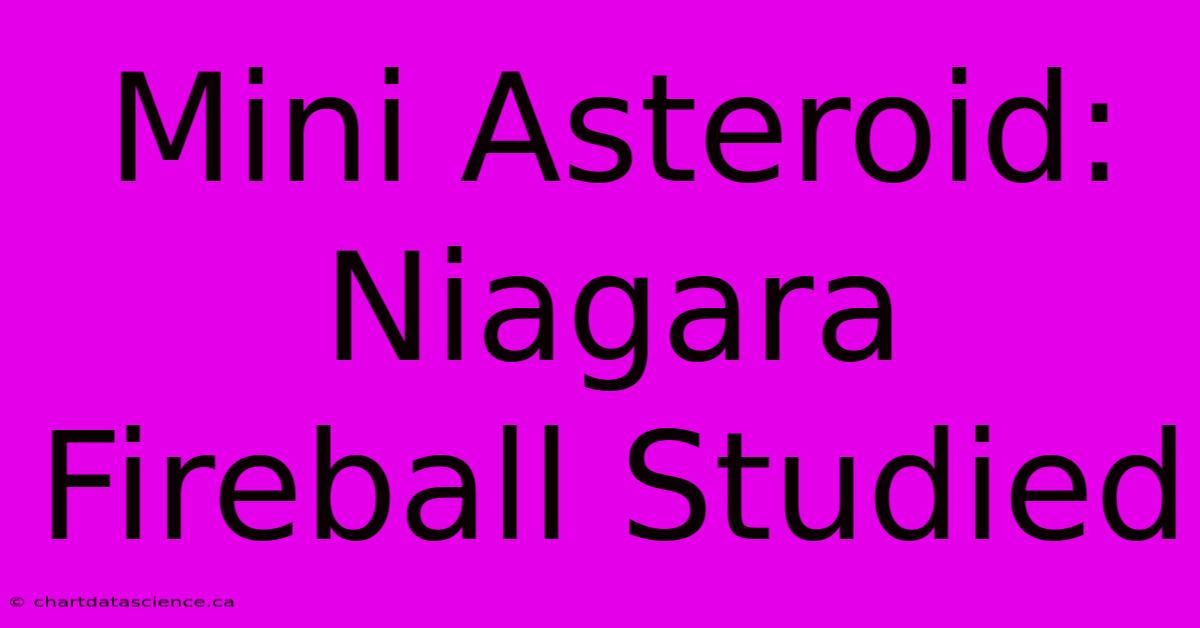 Mini Asteroid: Niagara Fireball Studied