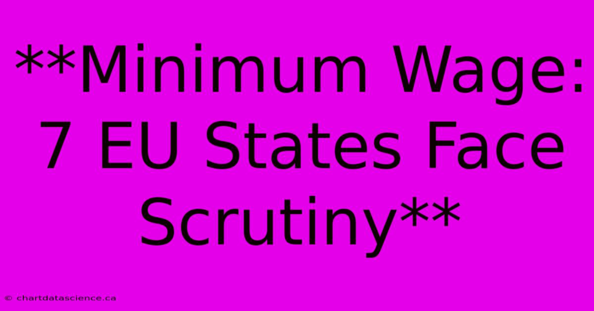 **Minimum Wage: 7 EU States Face Scrutiny**