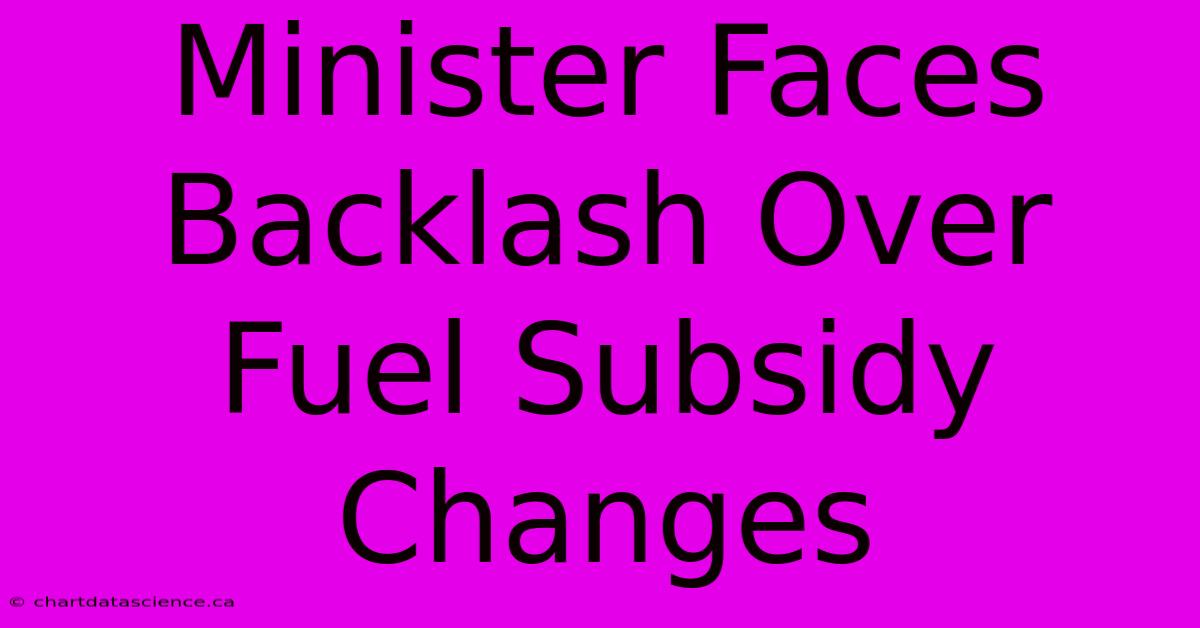 Minister Faces Backlash Over Fuel Subsidy Changes