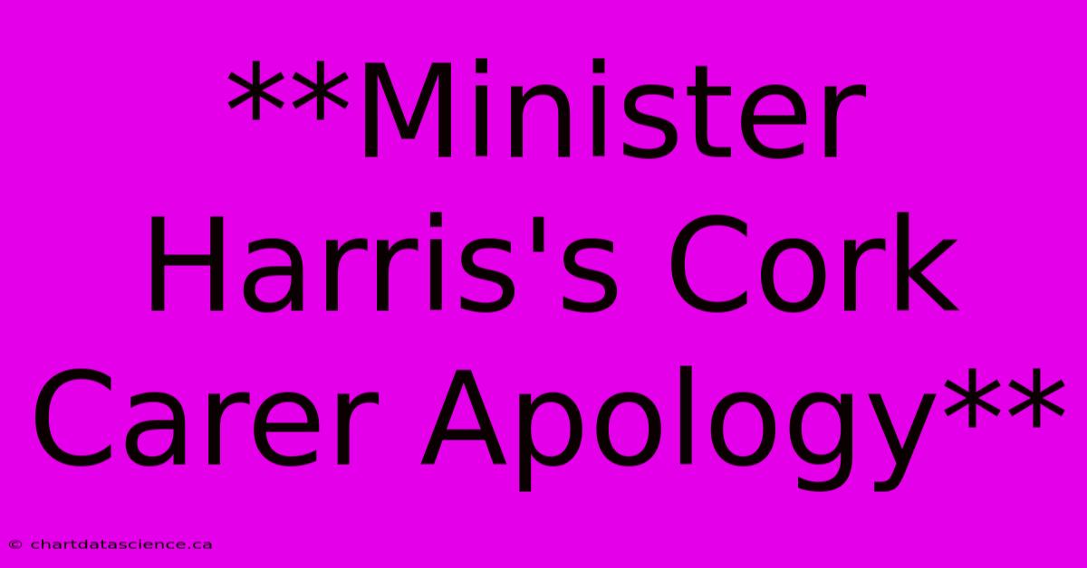 **Minister Harris's Cork Carer Apology**