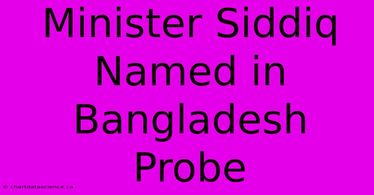 Minister Siddiq Named In Bangladesh Probe